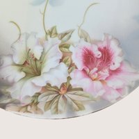 Antique PV Vessra Germany Floral Porcelain Handled Tray