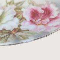 Antique PV Vessra Germany Floral Porcelain Handled Tray