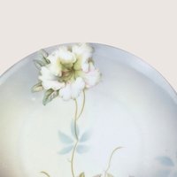 Antique PV Vessra Germany Floral Porcelain Handled Tray