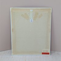 1970s Bamboo Shaving Art – Vintage Tropical Bird & Botanical Redy to Frame