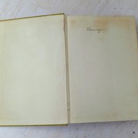 1910 Madame X – 1910s Edwardian Illustrated Volume
