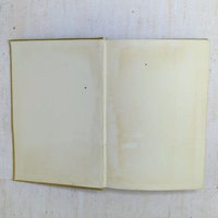 1910 Madame X – 1910s Edwardian Illustrated Volume