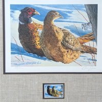 1987 Minnesota Pheasant Habitat Stamp Print by Brian Jarvi