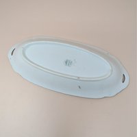 1920s Suhl Germany Floral Porcelain Celery Tray
