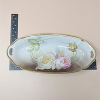 1920s Suhl Germany Floral Porcelain Celery Tray