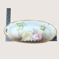 1920s Suhl Germany Floral Porcelain Celery Tray