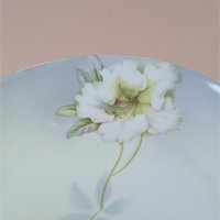 1930s PV Vessra Germany Hand Painted Floral Plate