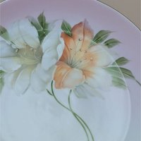 1920s Z.S. & C. Bavaria Floral Porcelain Handled Plate