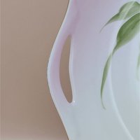 1920s Z.S. & C. Bavaria Floral Porcelain Handled Plate