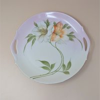 1920s Z.S. & C. Bavaria Floral Porcelain Handled Plate