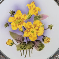 1960s BMF Germany Floral Porcelain Tray with Silver Plate Gallery Rim