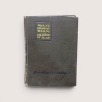 An antique dark cloth book cover titled "Ruskin's Crown of Wild Olive" in gold lettering, centered on a beige background.