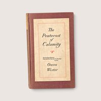 Antique 1915 Macmillan hardcover book The Pentecost of Calamity by Owen Wister with a cream cover label on textured cloth.