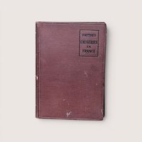 An antique brown cloth book cover titled "Pattou's Causeries en France," centered on a beige background.