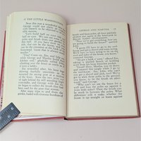 1918 The Little Washingtons Set by Lillian Elizabeth Roy