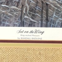 Vintage Randall Raduenz Set on the Wing Signed Numbered Pheasant Print