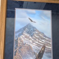 1989 Rick Kelley On Freedoms Wing Framed Eagle Mountain Print