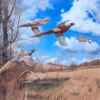 2002 David A Maass Tomahawk Trail Pheasants Framed Wildlife Print