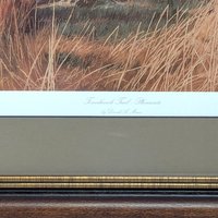 2002 David A Maass Tomahawk Trail Pheasants Framed Wildlife Print