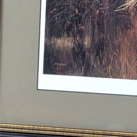 2002 David A Maass Tomahawk Trail Pheasants Framed Wildlife Print