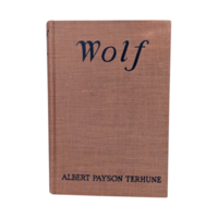 1925 Wolf, Albert Payson Terhune, Hardcover, Vintage, Dog Story, Gift for Animal Lovers