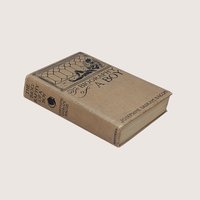 1910 The Biography of a Boy Josephine Daskam Bacon Rose ONeill Hardcover Book