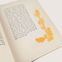 1919 Heidi Johanna Spyri Hardcover Book