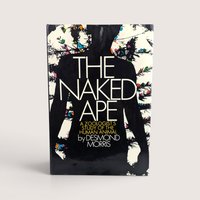 The dust jacket cover of The Naked Ape hardcover book by Desmond Morris featuring a black silhouette with colorful abstract accents.