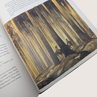 1990 Barry Lopez Crow and Weasel Hardcover Book