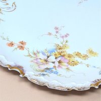 1890s RC Rosenthal German Porcelain Handled Plate