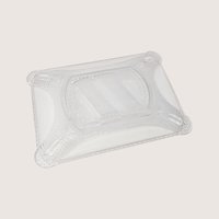 1880s Early American Pressed Glass Open Book Bread Tray