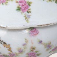 1800s MZ Austria Porcelain Hair Receiver Floral Decoration