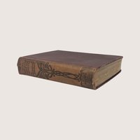 Antique 1900 Alphonse Daudet Numa Roumestan Hardcover Book
