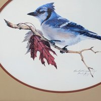 Vintage Blue Jay Wildlife Art Print Signed Becky Kruger Cyr