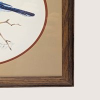 Vintage Blue Jay Wildlife Art Print Signed Becky Kruger Cyr