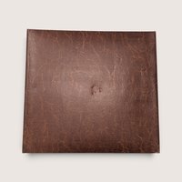 Vintage Brown Tri-Fold Photo Album Gold Filigree Storage