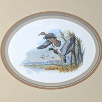 Vintage Framed Don Balke Duck Lithograph Signed Wildlife Art Print 