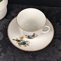 Vintage Bereuther Waldsassen Tea Cup and Saucer with Blue Grosbeck Design