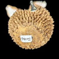 Vintage Squirrel on Acorn Figurine