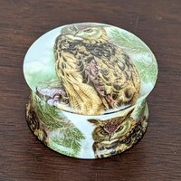 Newhall Staffordshire Bone China Owl Trinket Box