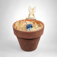 Vintage Teleflora Beatrix Potter Peter Rabbit Planter