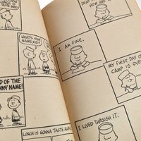 1972 You're a Pal SNOOPY Softcover Book, Charles M. Schulz