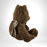 1999 Gladly The Cross Eyed Bear Teddy Bear with Book