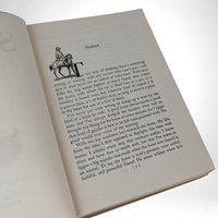 1929 Smoky The Cowhorse by Will James, Hardcover – Rare Vintage Western Classic for Collectors