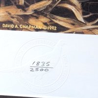 Vintage 1992 Minnesota Pheasant Habitat Stamp Print 10th Anniversary, Framed, Signed David Chapman, Wildlife Art, Hunting Decor