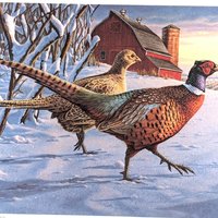 Vintage 1989 Minnesota Pheasant Habitat Stamp Print Framed, Signed David Chapman, Wildlife Art, Hunting Decor, Cabin Decor