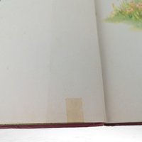 1946 The Bumper Book | Vintage Children's Stories & Verses | Illustrated by Eulalie | Oversized Hardcover