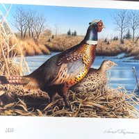 Vintage 1992 Minnesota Pheasant Habitat Stamp Print 10th Anniversary, Framed, Signed David Chapman, Wildlife Art, Hunting Decor