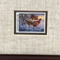 Vintage 1989 Minnesota Pheasant Habitat Stamp Print Framed, Signed David Chapman, Wildlife Art, Hunting Decor, Cabin Decor