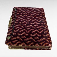 Antique Velvet Photo Album | Victorian Photo Album | Ornate Photo Album | Antique Photos Included